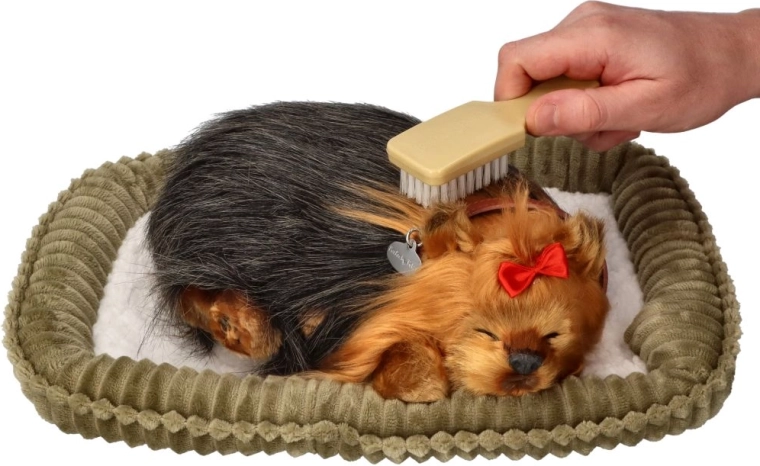 Perfect Petzzz ροχαλητό κουταβάκι Γιορκσάιρ τεριέ