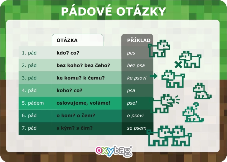 Playworld εκπαιδευτική κάρτα A4 ερωτήσεις πτώσεων - 1 τεμάχιο