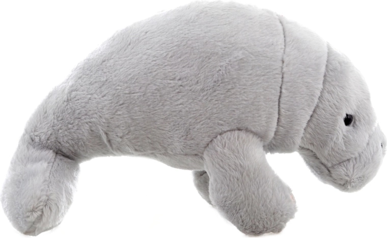 Χαριτωμένος σχεδιασμός για παιδικό δωμάτιο