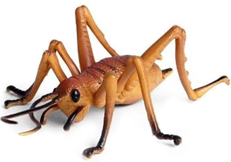 Πλαστικός γρύλος 10 cm