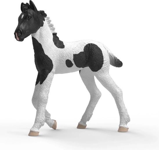 Schleich Horse Club συλλεκτικό πουλάρι Rocky - 1 τεμάχιο
