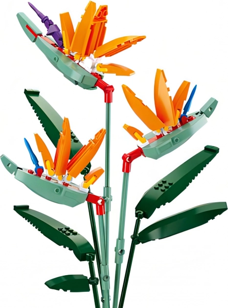 Sluban Flowers Στρελίτσια Βασιλική
