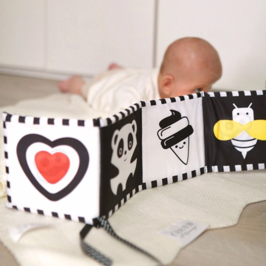 Οπτική διέγερση υψηλής αντίθεσης