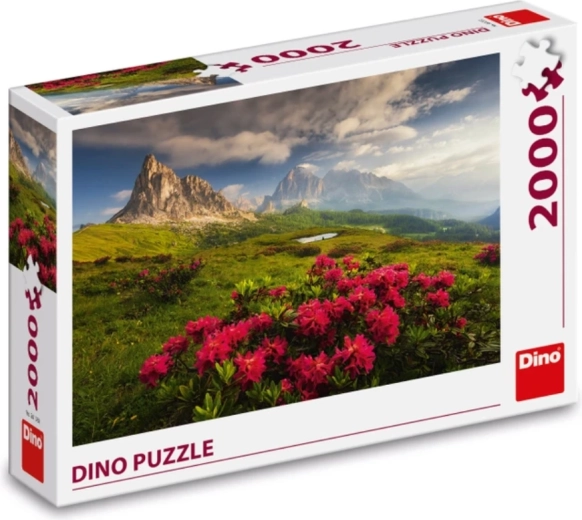 Ποιοτική κατασκευή DINO