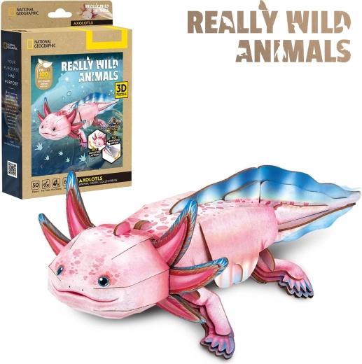 CubicFun 3D παζλ National Geographic: Axolotl, 50 κομμάτια