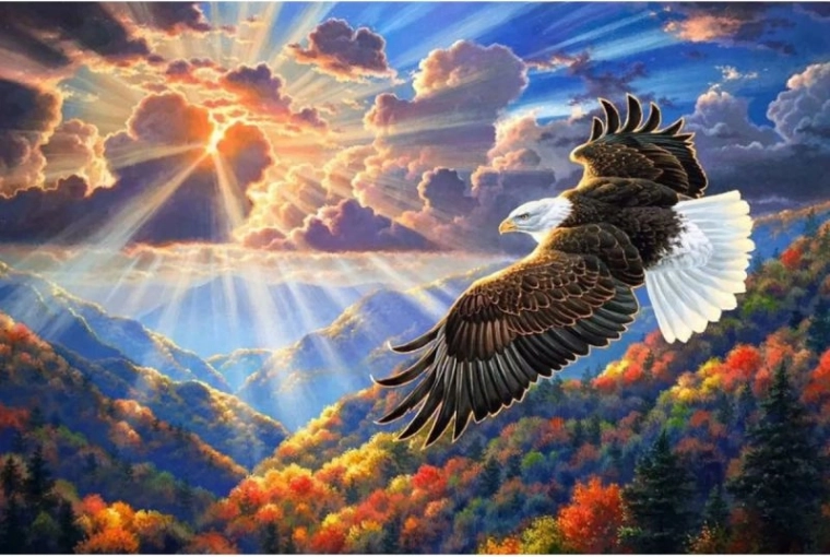 Διαμαντένιο μωσαϊκό (diamond painting) αετός στον ουρανό 40 × 30 cm