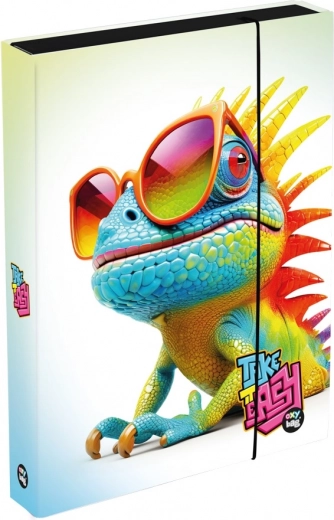 Κουτί για τετράδια A4 Jumbo Chameleon