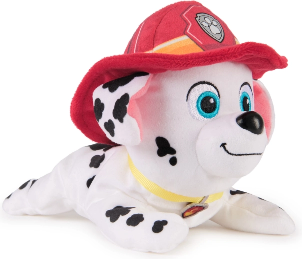 Πιστή πυροσβεστική εμφάνιση από το Paw Patrol