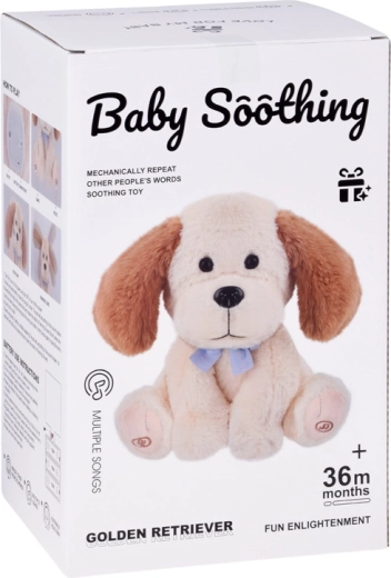 Μουσική λειτουργία με μελωδίες