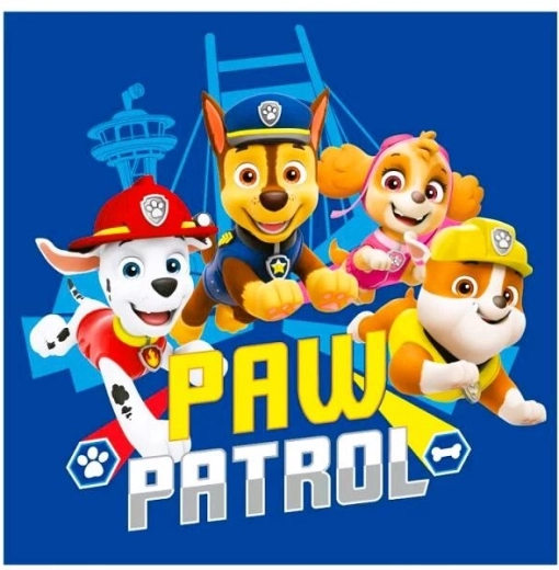 Πετσέτα προσώπου Paw Patrol