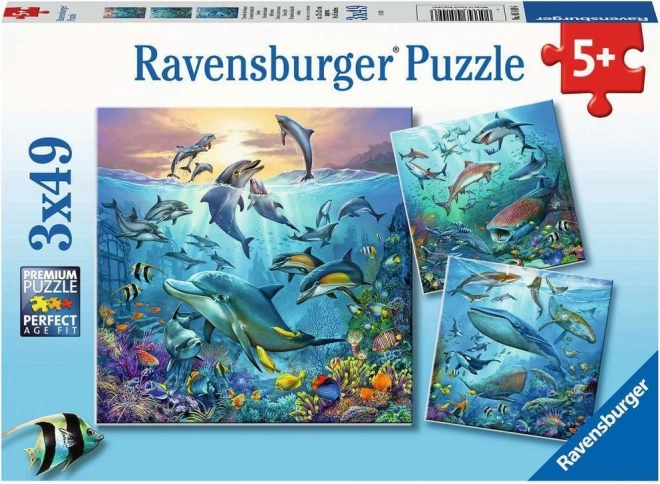 Παζλ Ravensburger Ocean Life 3 × 49 κομμάτια