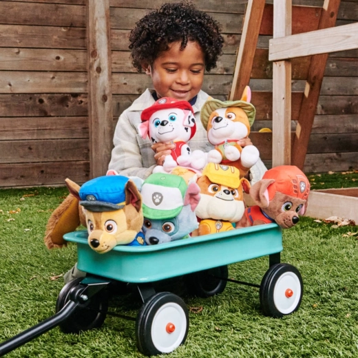 Ηρωίδα από την Paw Patrol