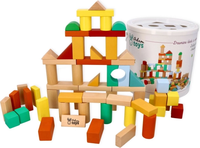 Adam Toys ξύλινα τουβλάκια με σόρτερ 100 τεμ.