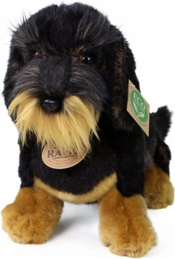 Ρεαλιστική απόδοση του σκληρότριχου ντάσχουντ