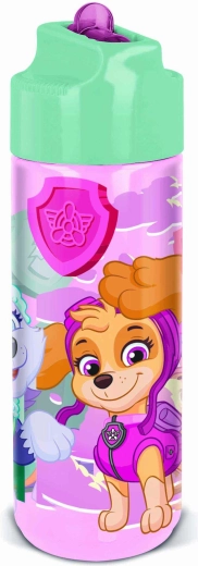 Μπουκάλι Ecozen Paw Patrol 540 ml