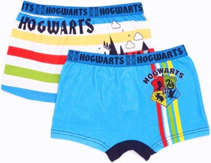 Harry Potter σετ δύο ανδρικών μπόξερ