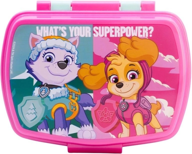Δοχείο σνακ Paw Patrol