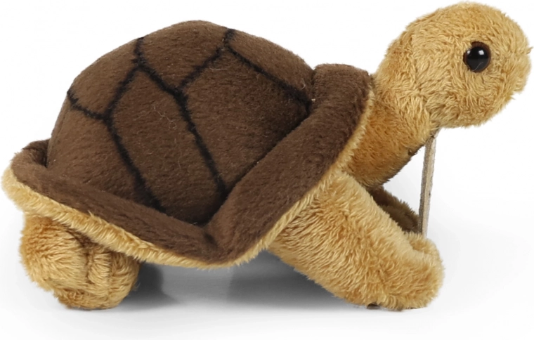 Ρεαλιστικός και χαριτωμένος σχεδιασμός