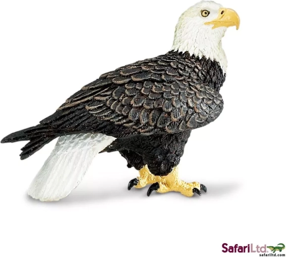 Safari Ltd. φαλακρός αετός