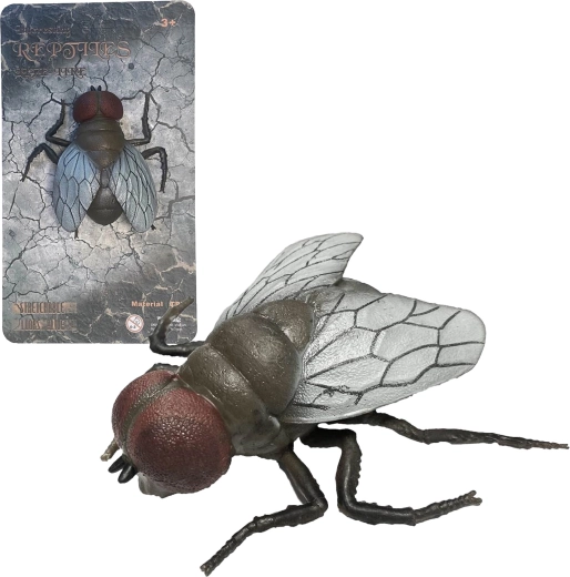 Ζωντανή φύση House Fly – ρεαλιστικό μοντέλο μύγας 11,5 cm