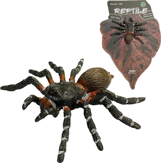 Ζωντανή φύση: ρεαλιστικό μοντέλο αράχνης White Knee Spider (8 cm) - 1 τεμάχιο