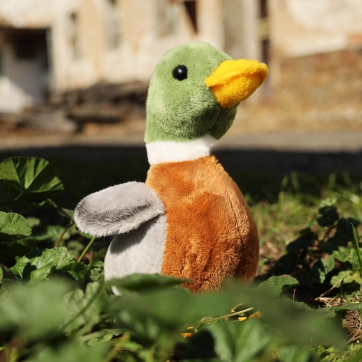 Eco-friendly γέμιση