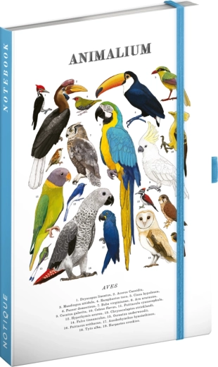 Notique Notes Animalium – γραμμωμένο σημειωματάριο Πουλιά 13 × 21 cm