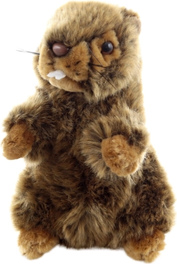 Eco-friendly κατασκευή