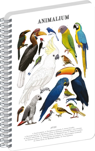 Σπιράλ μπλοκ Notique Animalium – Πουλιά, λευκό, A4