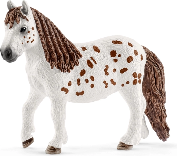 Η πόνι Shetland Spotty με προσεγμένες λεπτομέρειες