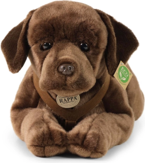 ECO‑FRIENDLY γέμιση από μπουκάλια PET
