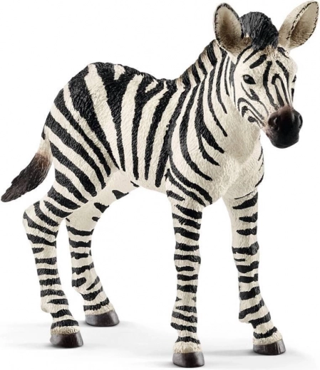 Φιγούρα μωρού ζέβρας Schleich Wild Life