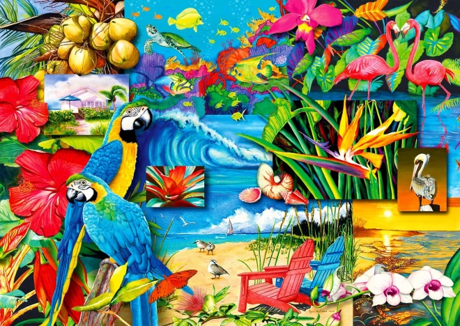 Απολαύστε το Puzzle Τροπικοί Θησαυροί 1000 κομμάτια