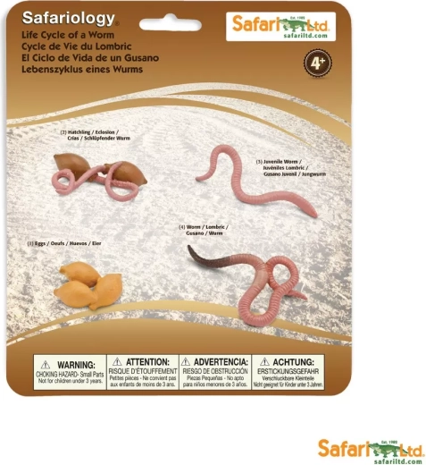 Safari Ltd. κύκλος ζωής λιβελούλας