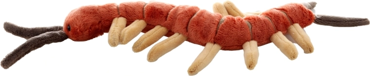 Ιδανικό μέγεθος για το σπίτι και τα ταξίδια