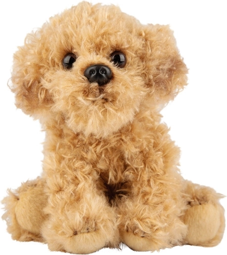 Λούτρινος σκύλος Labradoodle
