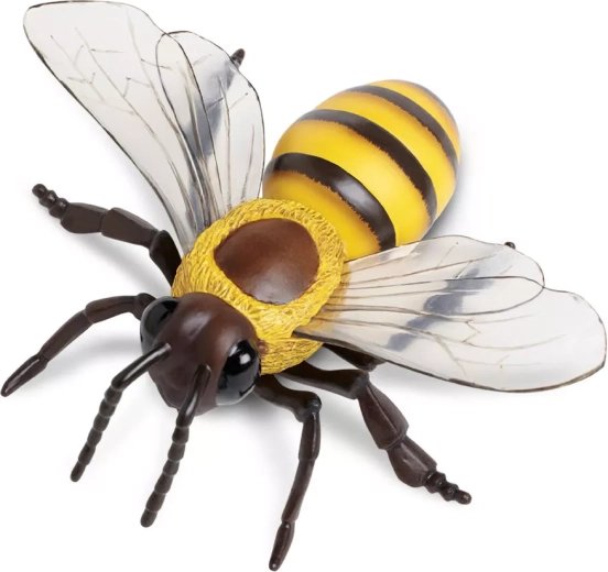 Μέλισσα (Apis mellifera) Safari Ltd. - 1 τεμάχιο