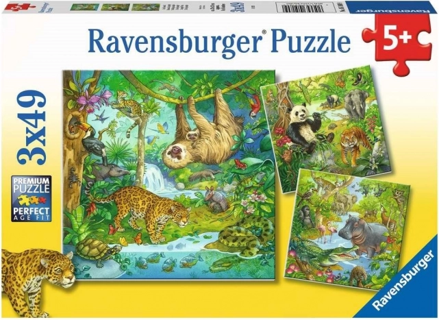 Παζλ Ravensburger Ζώα στη ζούγκλα 3×49 κομμάτια