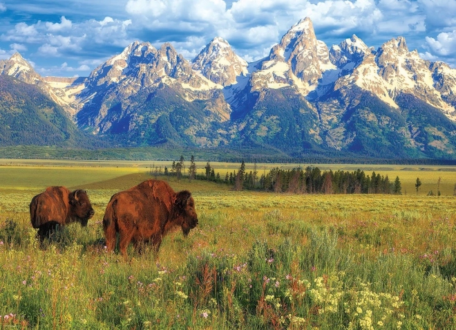 Παζλ υπέροχο Εθνικό Πάρκο Grand Teton 1000 κομμάτια
