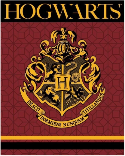 Χνουδωτή φλις κουβέρτα Harry Potter XL