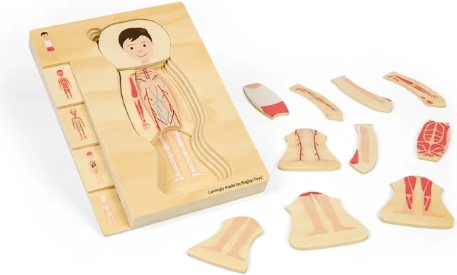 Ξύλινο πολυεπίπεδο παζλ ανατομίας – αγόρι BIGJIGS TOYS