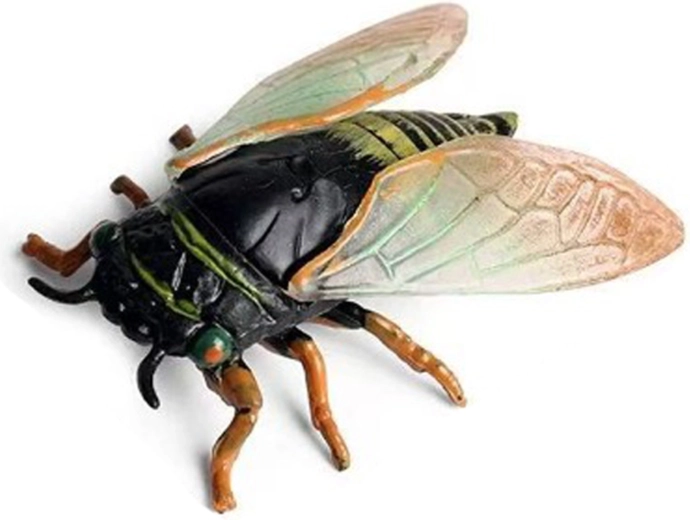 Τζιτζίκι 6 cm