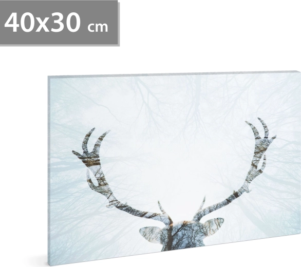 Πίνακας LED με τάρανδο 40 × 30 cm