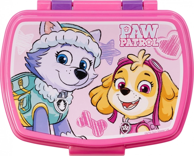 Αγαπημένοι χαρακτήρες PAW Patrol