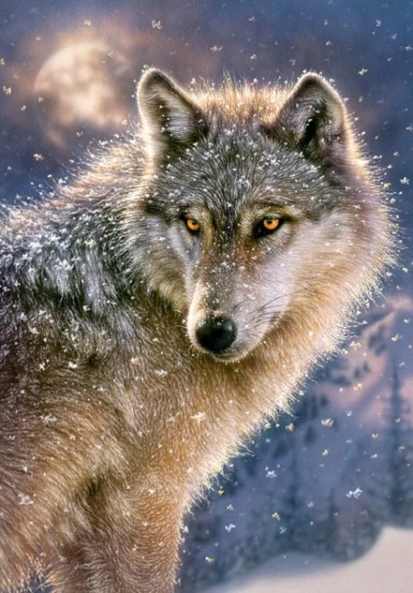 Παζλ 500 κομματιών Lone Wolf