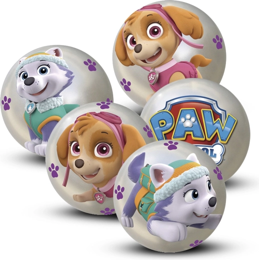 Μπαλάκι Paw Patrol 10 cm – display 12 τεμαχίων