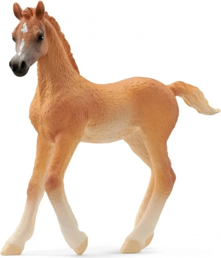 Αραβικό πουλάρι SCHLEICH Horse Club