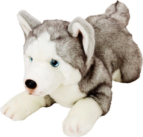 Λούτρινος σκύλος Husky