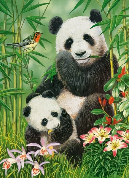 Παζλ Castorland Panda Brunch 300 κομμάτια