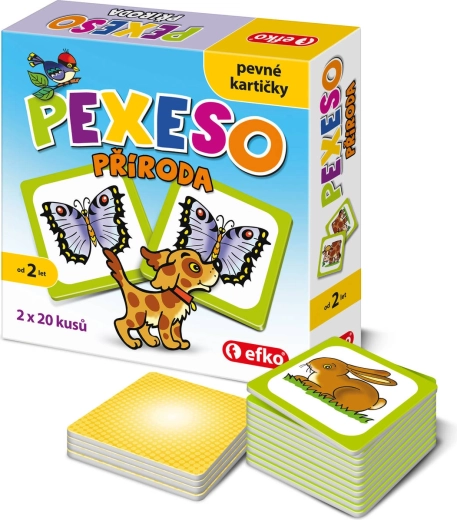 Efko παιδικό παιχνίδι μνήμης (Pexeso) μεταφορικά μέσα